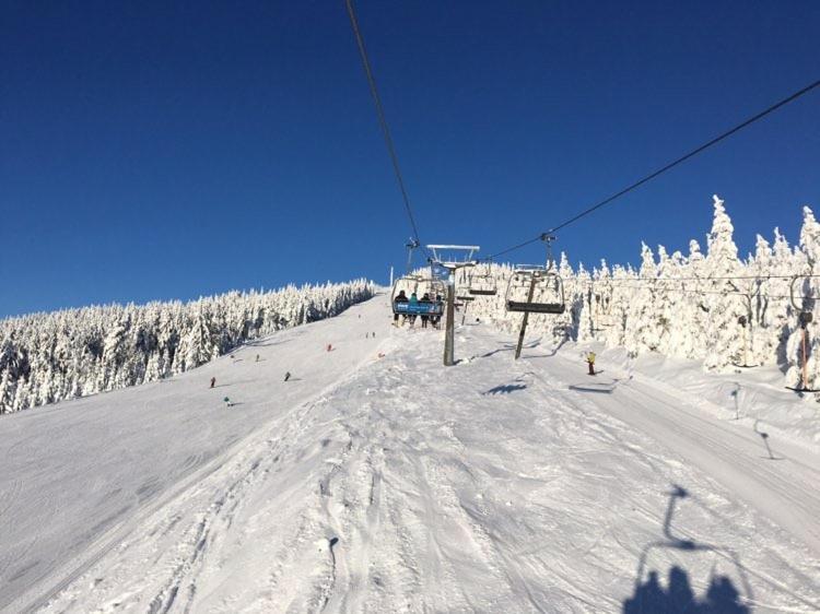 Apartment Medvedin 331/110 Spindleruv Mlyn Bagian luar foto